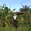 aliefvya60