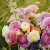 amina.khatun019
