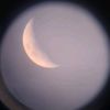 astronomyzoology