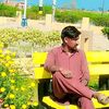 tanveer.shah318