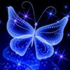 user4323005204967