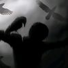 raven22x6