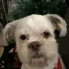 soirox_