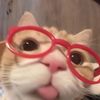 studygirl271