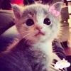 viktoriadanilkayooo