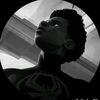 igris_so