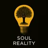 soul_reality0