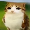 heya_pookie3