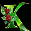k.k49810