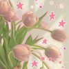 hana_aja376