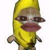 sheliaajaa2