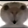 hngg.nguyn25