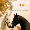 a_butterfly21