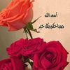 user7481728146676