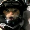 miyaww_27