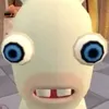 funnydogs218