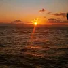 judyannjudyann23