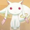 kyubey__