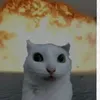 ilovespace999.hi