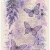 olivia_cantek01