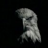 musa_cheema74