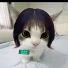 siomeowwwww0