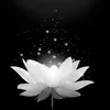 l.ly1165