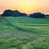 _rayen65