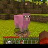 hafis6__