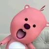 chisss.n.bo