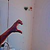 user303991613605