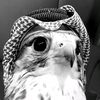 salehmohamed2917