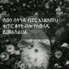 demew.baba