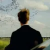 wspslicerhere