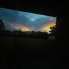 iliketacosbcs_imbella
