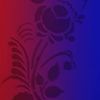om.hossam884