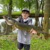 bennett_h242