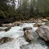 random_wilderness