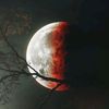 yeasminakhter288