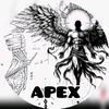 apex.2011