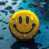wajid.rahman55