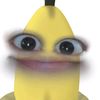 pinguinmoop