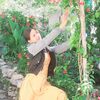 sita.rawal104