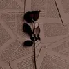 user7319920778776