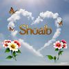 user801526493
