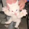 nrnnrnnrnnnnrnnn
