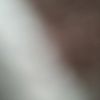 carla.wisse