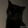 gitzimbr