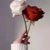akhr4t_.22