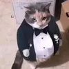 sopyyt2
